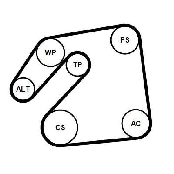 Courroie trap�zoidale 