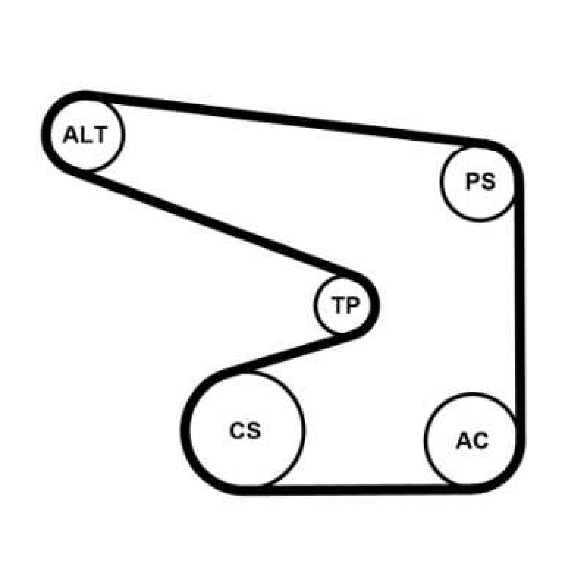 Jeu de courroies trap�zoidales 