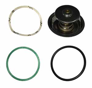 Thermostat 79
