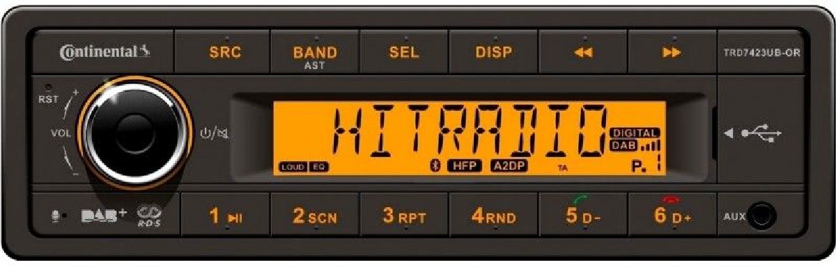 Radio/USB MP3/WMA/DAB/Bluetooth/24V